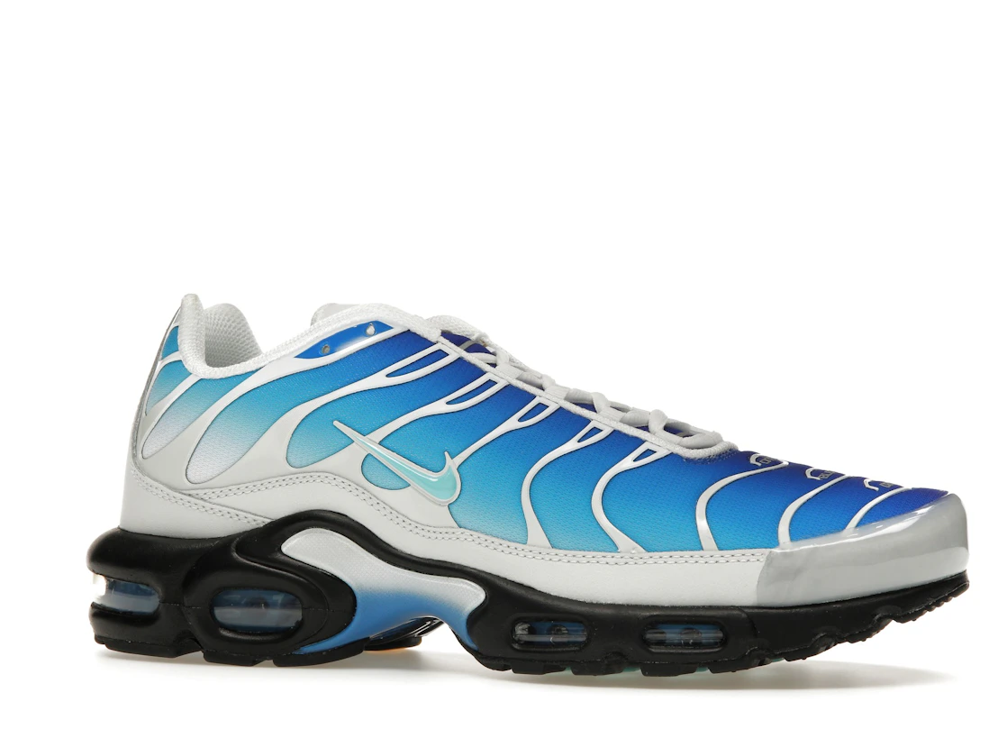 Vue 3 de Nike Air Max Plus One Block Down Light Photo Blue