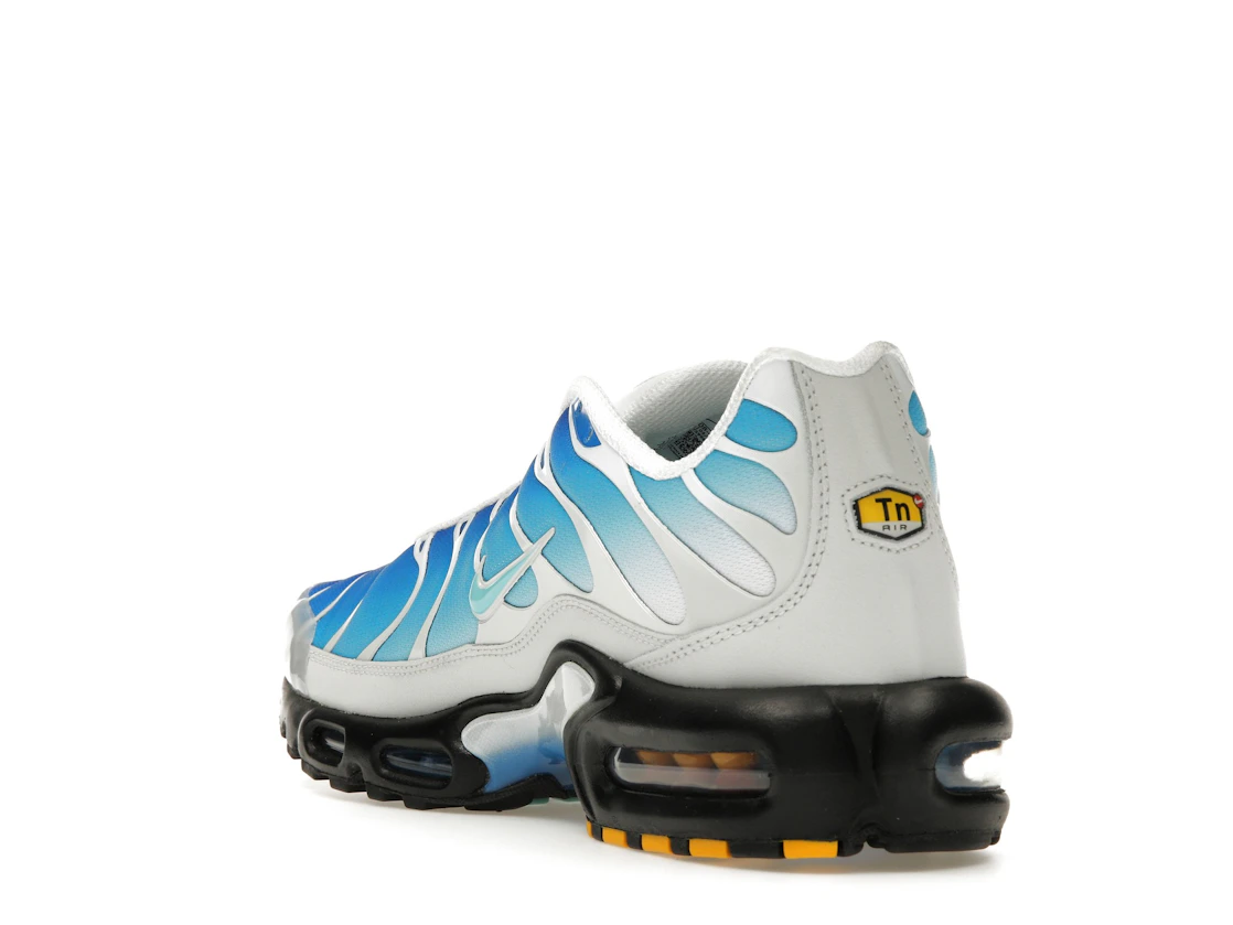 Vue 25 de Nike Air Max Plus One Block Down Light Photo Blue