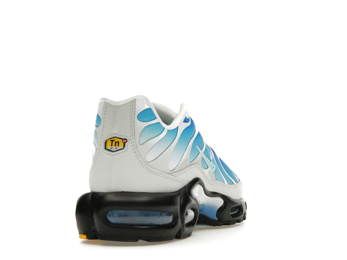 Vue 30 de Nike Air Max Plus One Block Down Light Photo Blue
