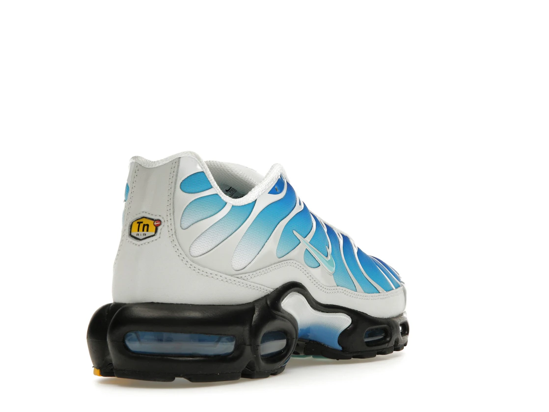 Vue 31 de Nike Air Max Plus One Block Down Light Photo Blue