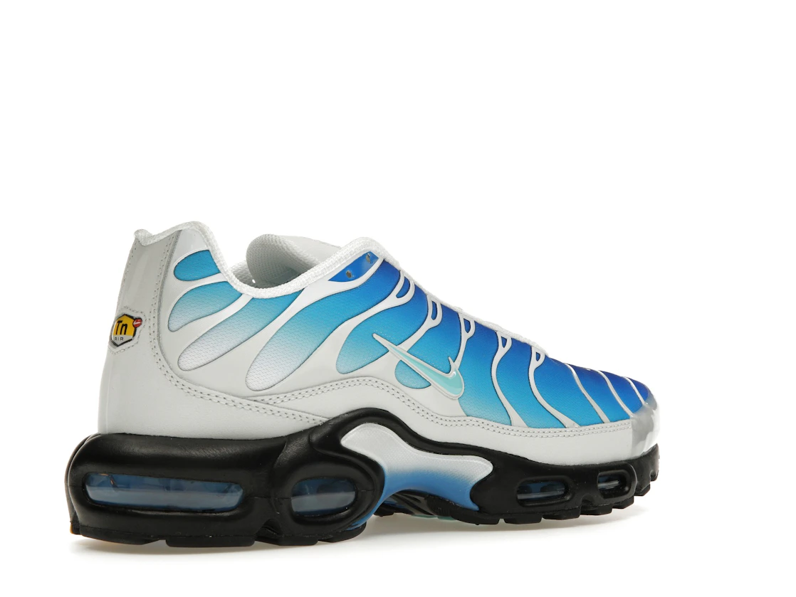 Vue 33 de Nike Air Max Plus One Block Down Light Photo Blue