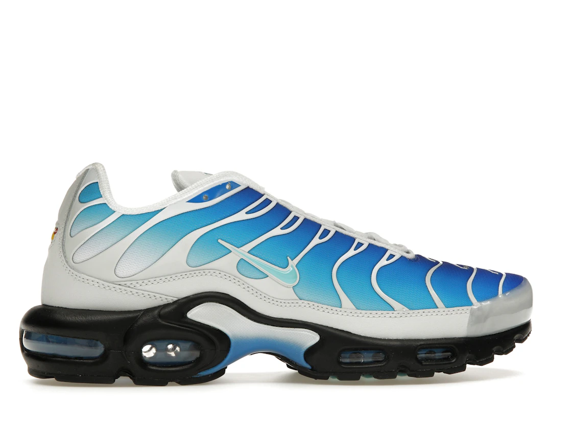Vue 36 de Nike Air Max Plus One Block Down Light Photo Blue