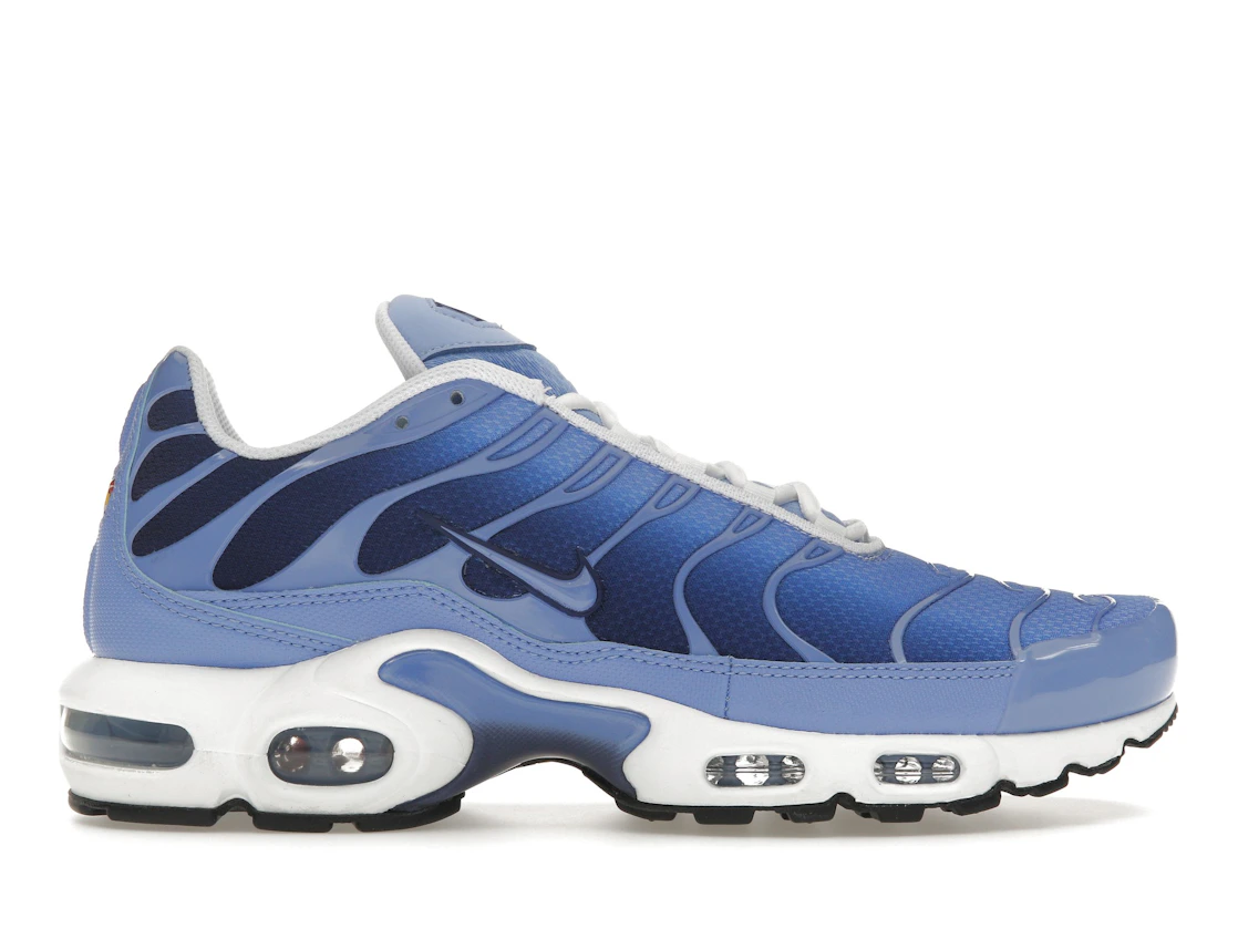 Vue 1 de Nike Air Max Plus Royal Pulse