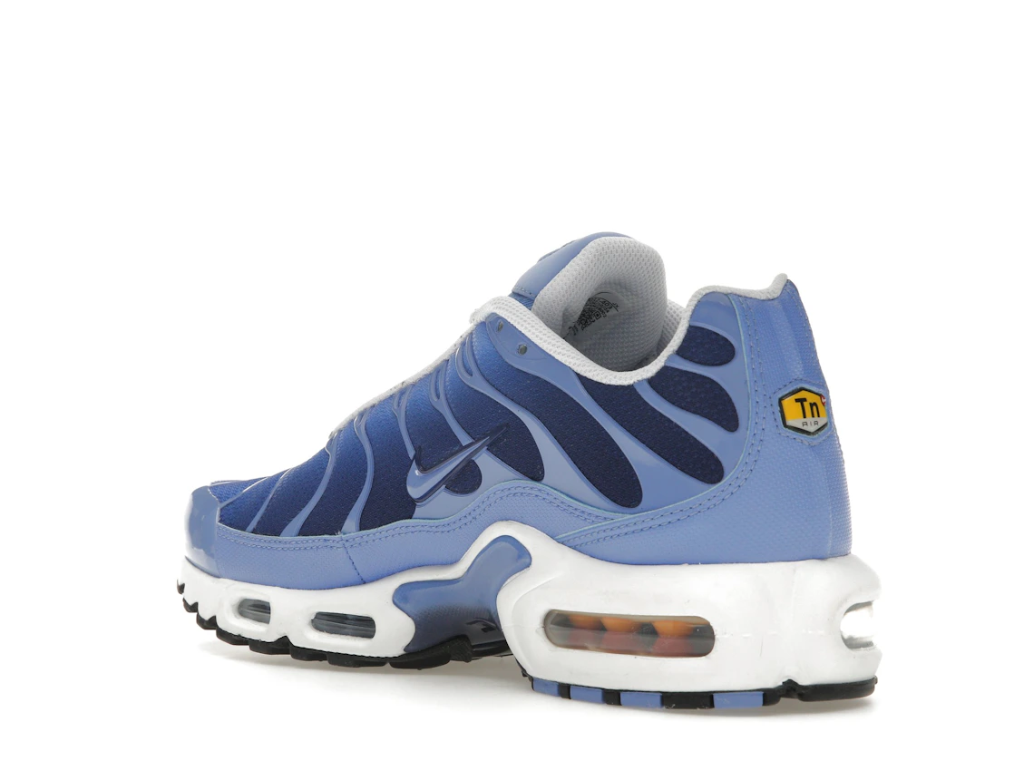 Vue 24 de Nike Air Max Plus Royal Pulse