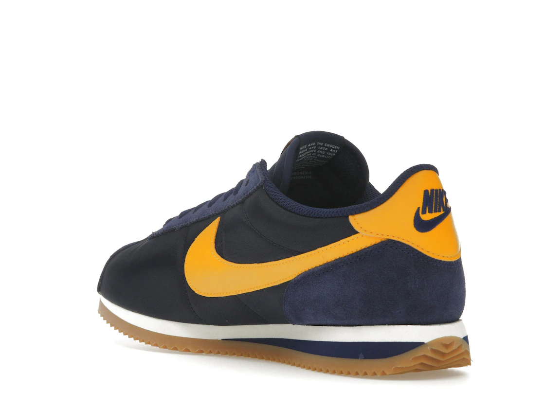Vue 24 de Nike Cortez TXT Michigan 