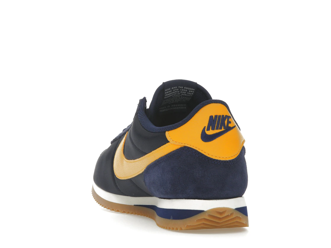Vue 26 de Nike Cortez TXT Michigan 