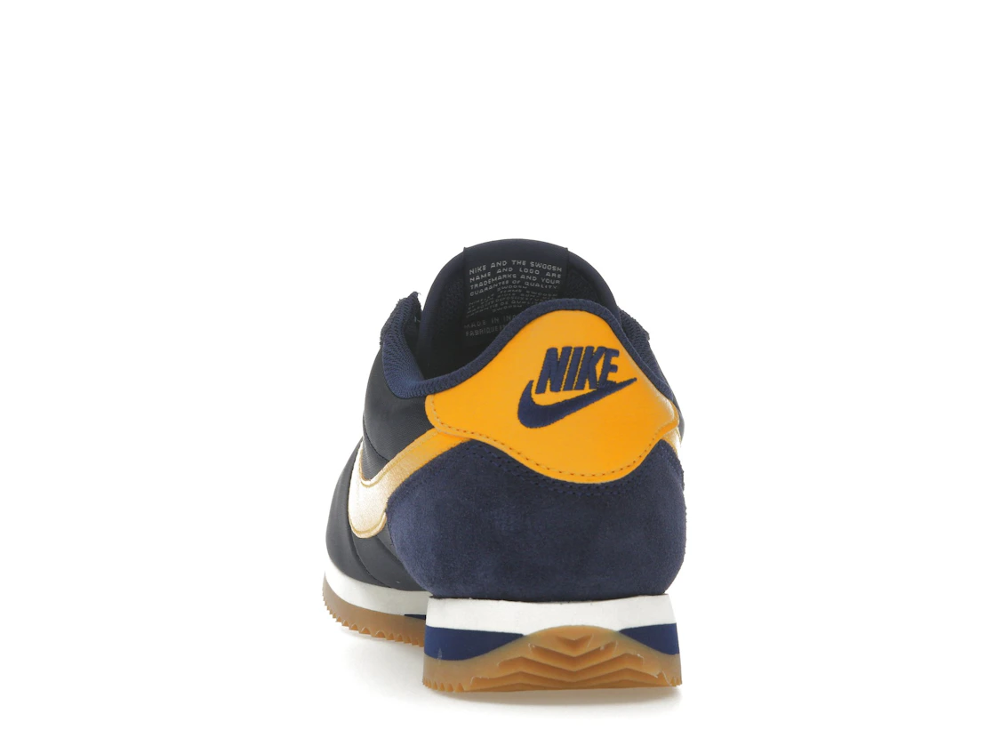 Vue 27 de Nike Cortez TXT Michigan 