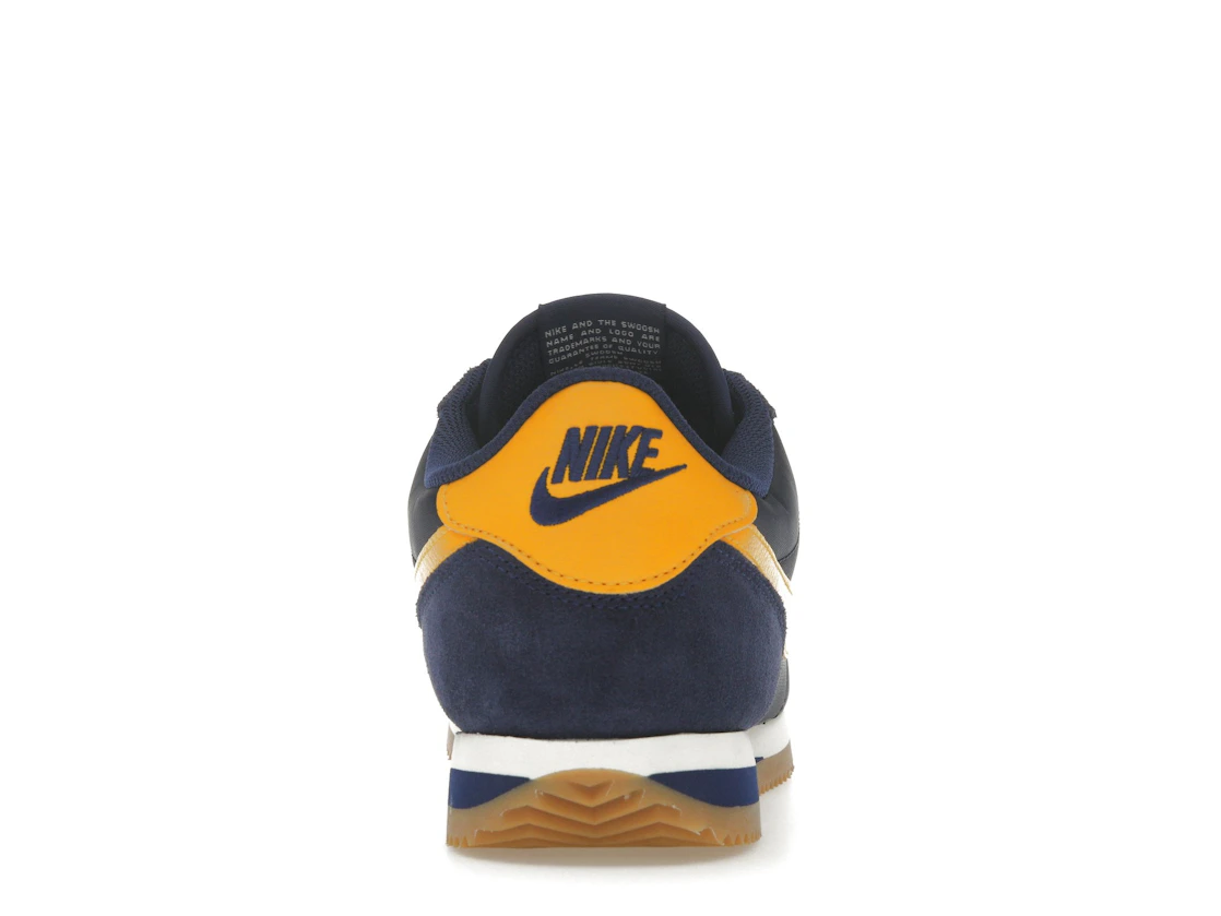 Vue 28 de Nike Cortez TXT Michigan 