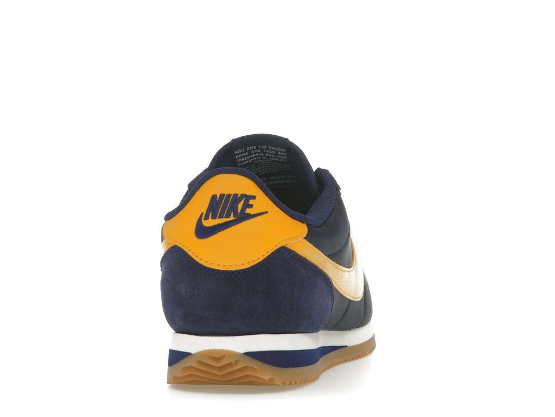 Vue 29 de Nike Cortez TXT Michigan 