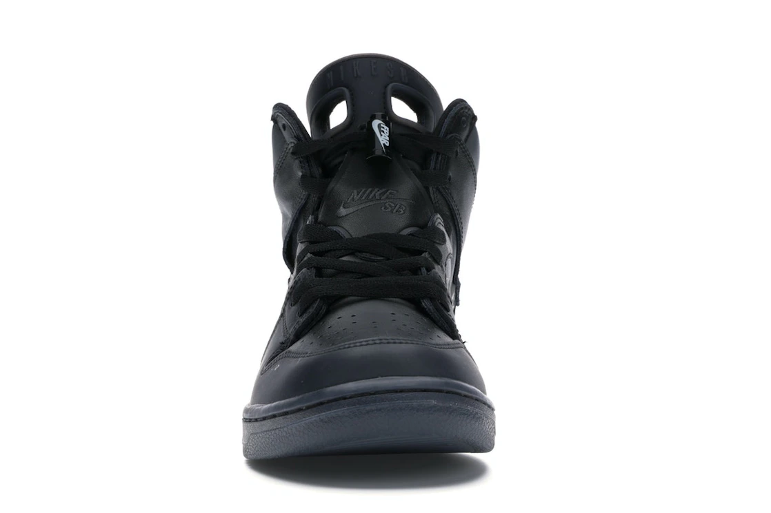 Vue 10 de Nike SB Dunk High FPAR