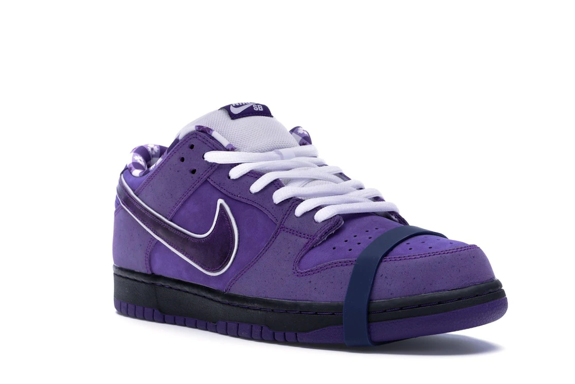 Vue 6 de Nike SB Dunk Low Concepts Purple Lobster (Special Box)