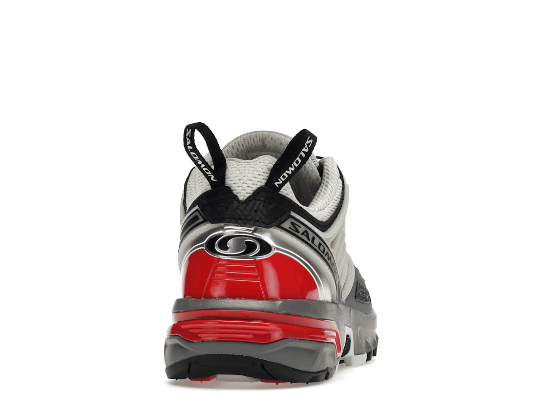 Vue 29 de Salomon ACS Pro Advanced Lunar Rock Goji
