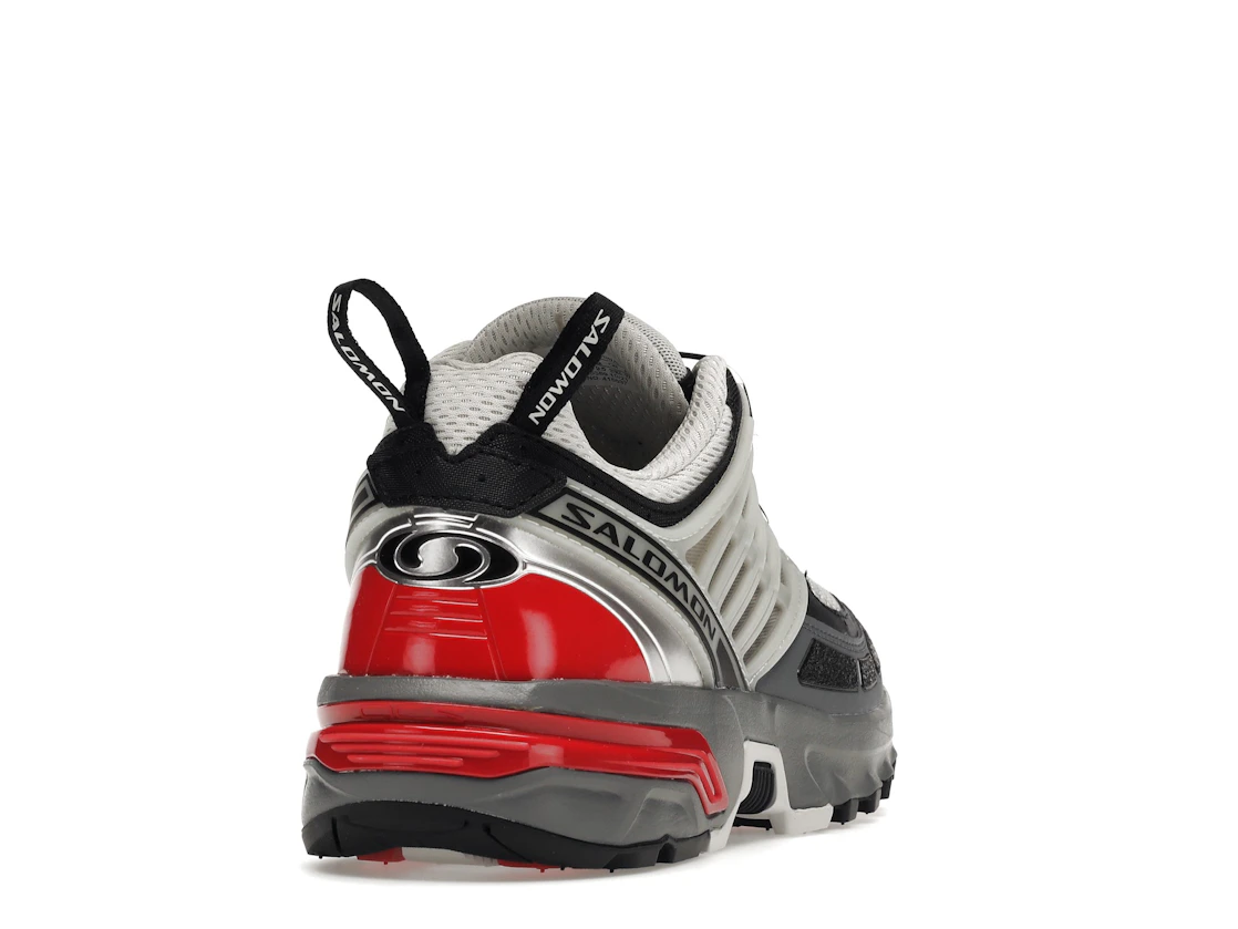Vue 30 de Salomon ACS Pro Advanced Lunar Rock Goji