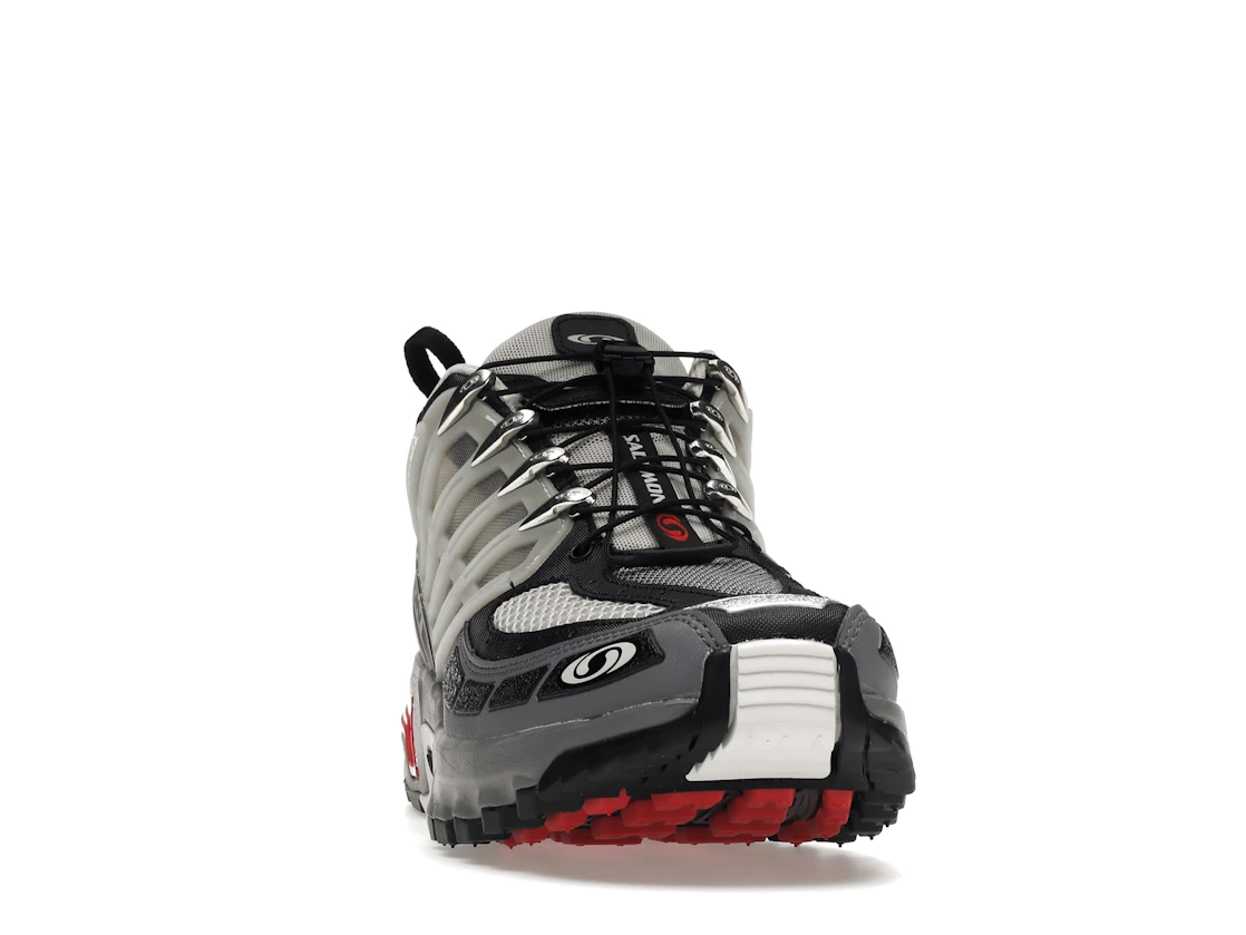 Vue 9 de Salomon ACS Pro Advanced Lunar Rock Goji