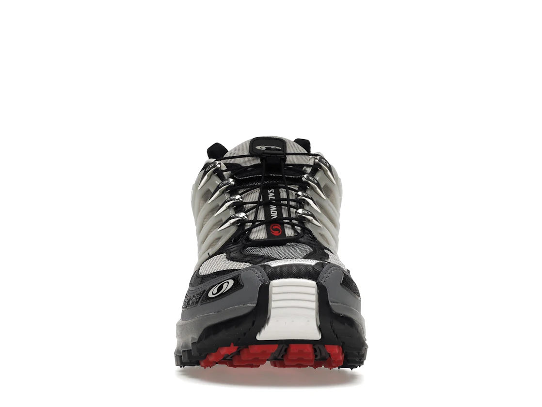 Vue 10 de Salomon ACS Pro Advanced Lunar Rock Goji