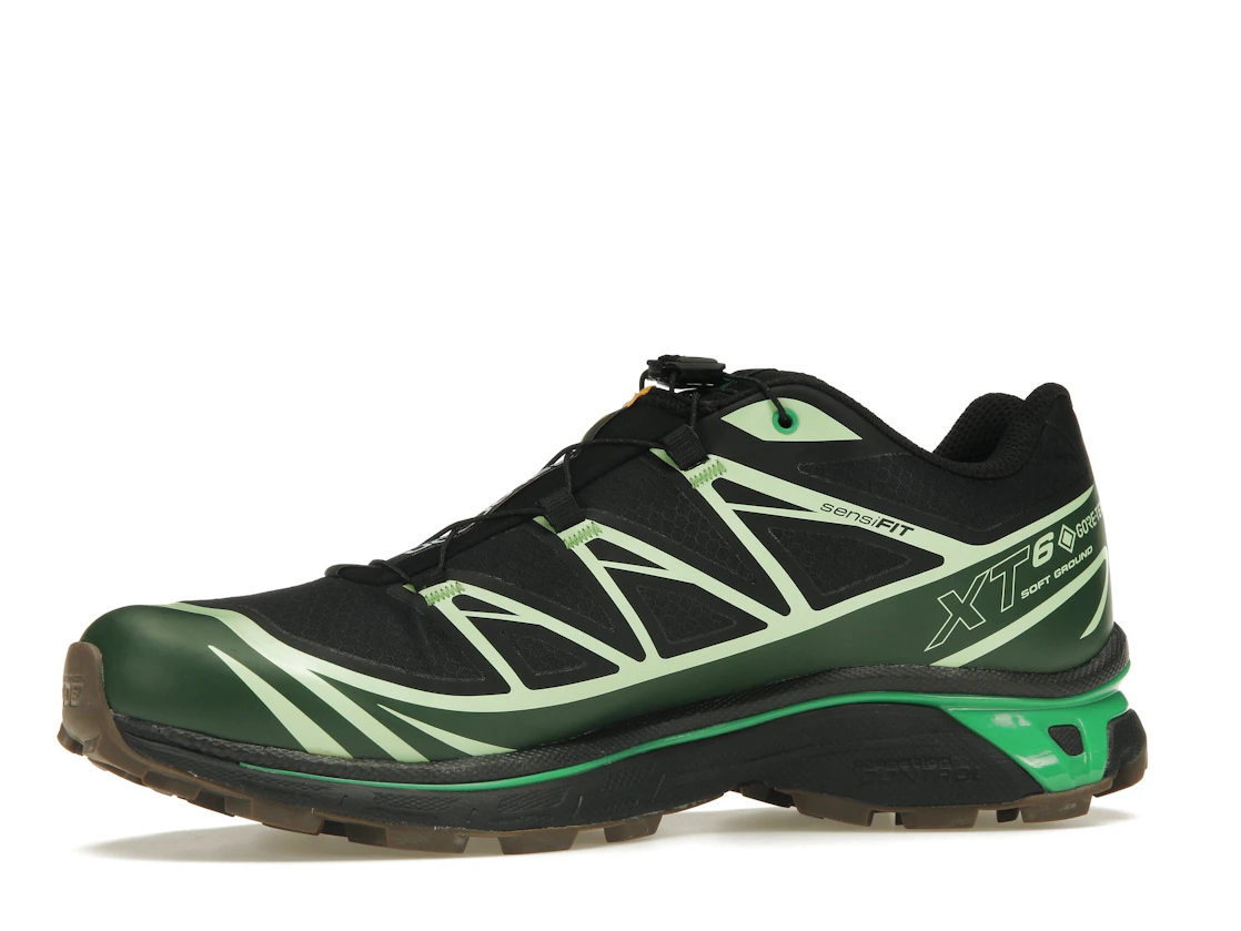Vue 17 de Salomon Advanced XT-6 Gore-Tex Eden Green Ash