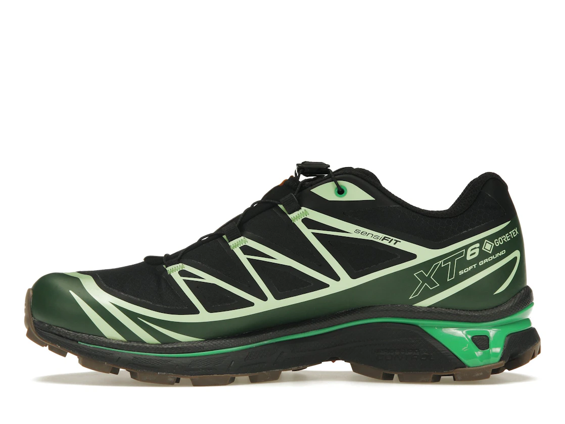 Vue 19 de Salomon Advanced XT-6 Gore-Tex Eden Green Ash