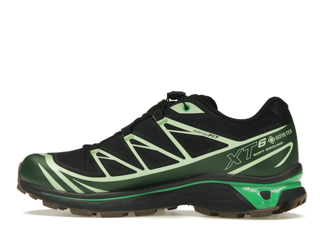 Vue 20 de Salomon Advanced XT-6 Gore-Tex Eden Green Ash