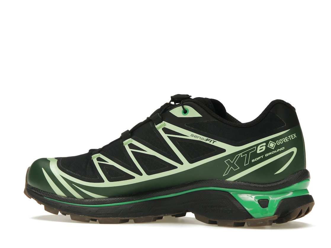 Vue 21 de Salomon Advanced XT-6 Gore-Tex Eden Green Ash