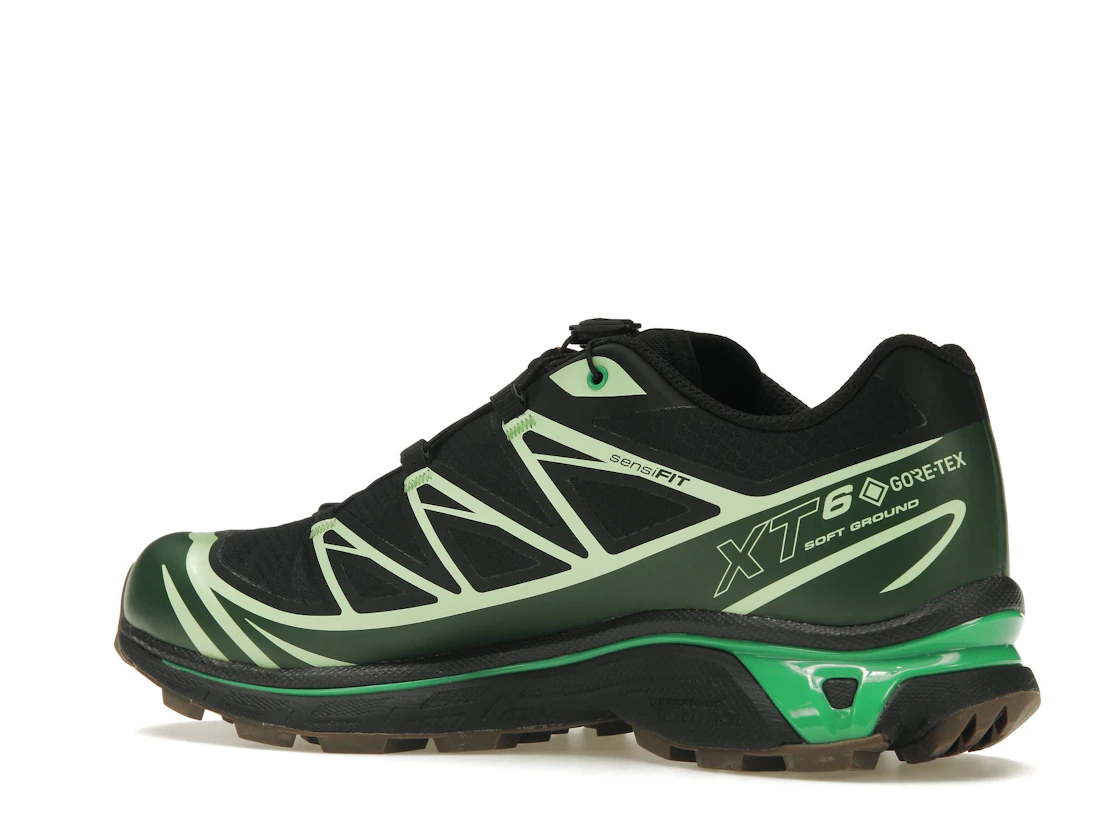 Vue 22 de Salomon Advanced XT-6 Gore-Tex Eden Green Ash