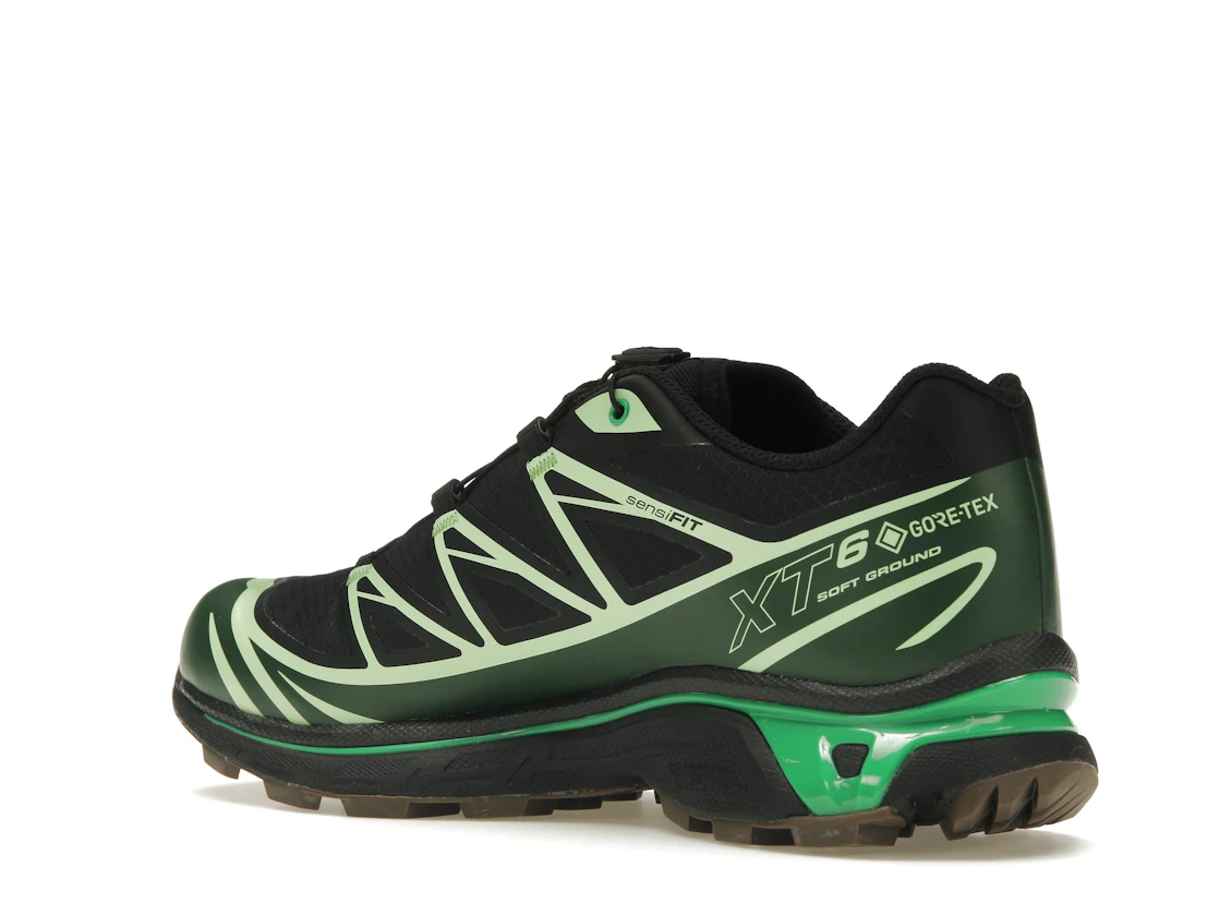 Vue 23 de Salomon Advanced XT-6 Gore-Tex Eden Green Ash