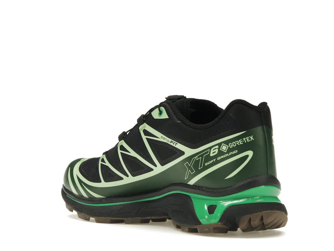 Vue 24 de Salomon Advanced XT-6 Gore-Tex Eden Green Ash