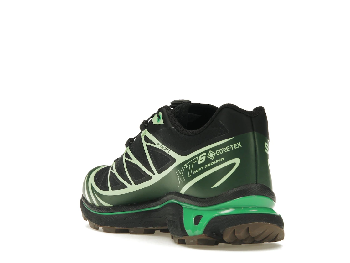 Vue 25 de Salomon Advanced XT-6 Gore-Tex Eden Green Ash