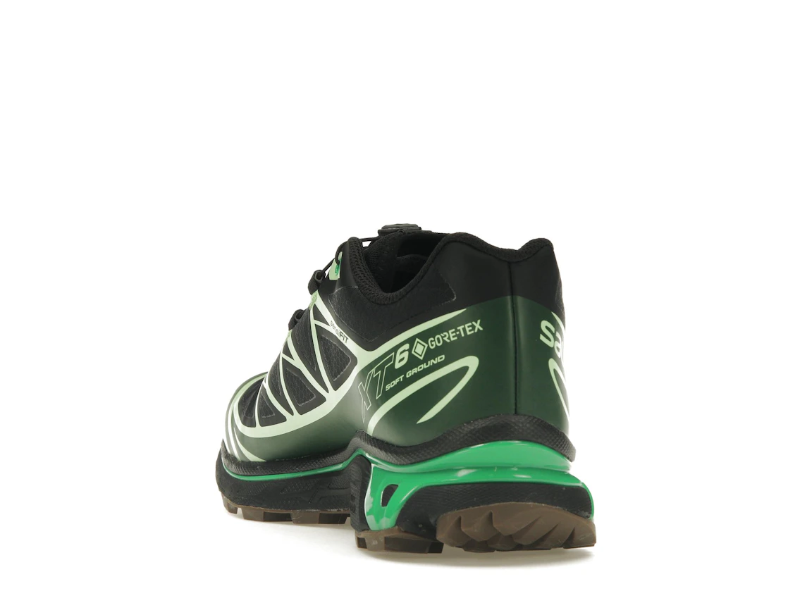 Vue 26 de Salomon Advanced XT-6 Gore-Tex Eden Green Ash