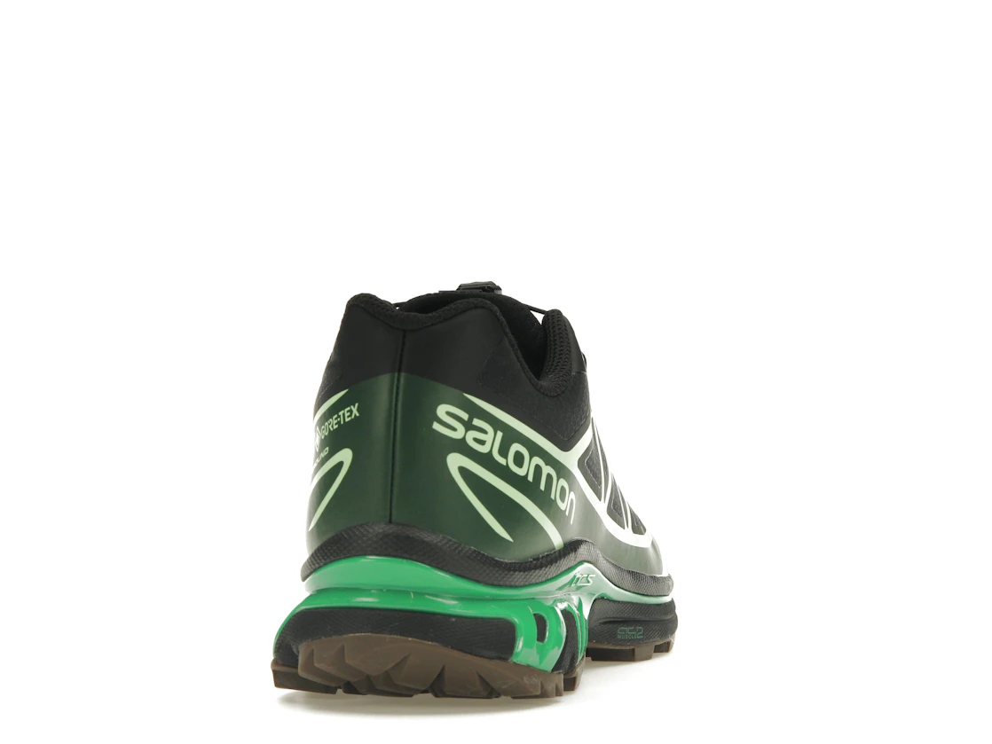 Vue 29 de Salomon Advanced XT-6 Gore-Tex Eden Green Ash