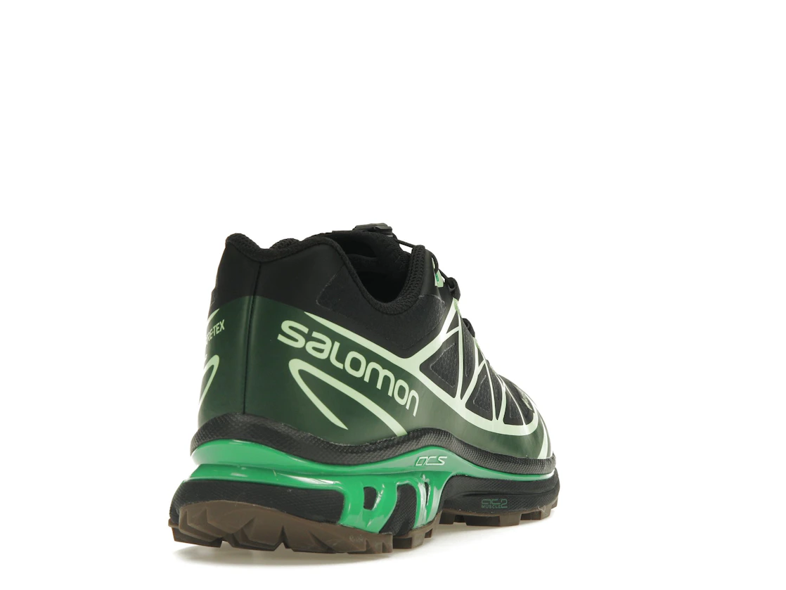 Vue 30 de Salomon Advanced XT-6 Gore-Tex Eden Green Ash
