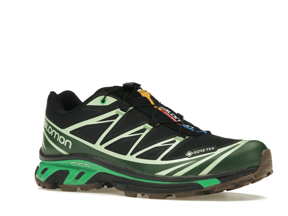 Vue 4 de Salomon Advanced XT-6 Gore-Tex Eden Green Ash