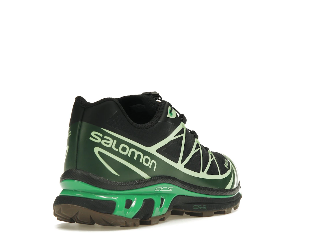 Vue 31 de Salomon Advanced XT-6 Gore-Tex Eden Green Ash