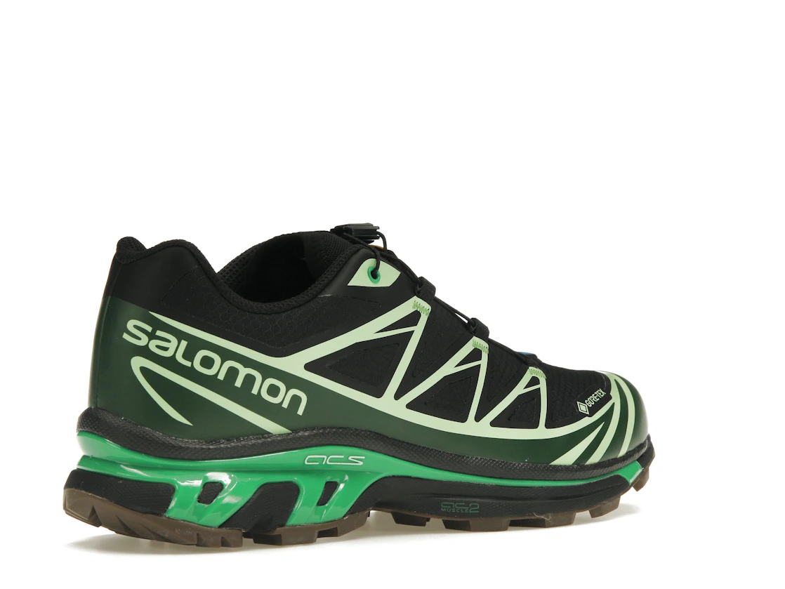 Vue 33 de Salomon Advanced XT-6 Gore-Tex Eden Green Ash