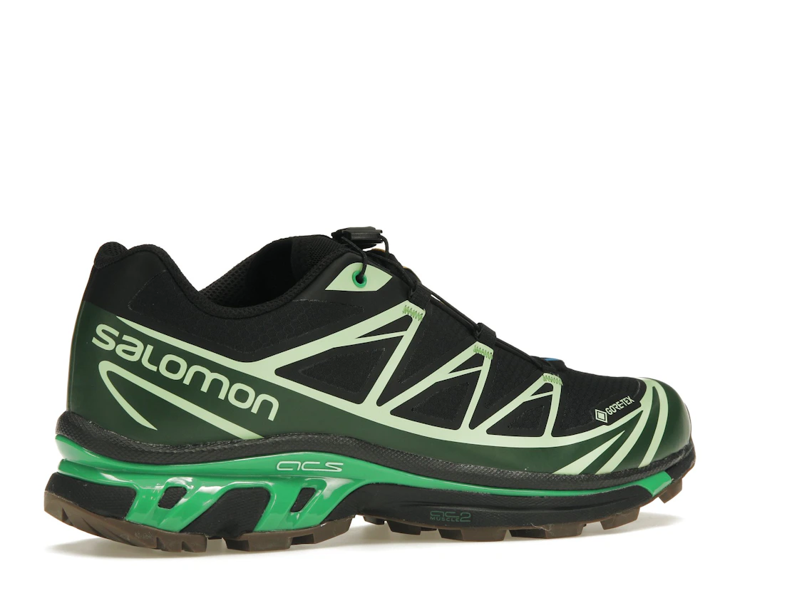 Vue 34 de Salomon Advanced XT-6 Gore-Tex Eden Green Ash