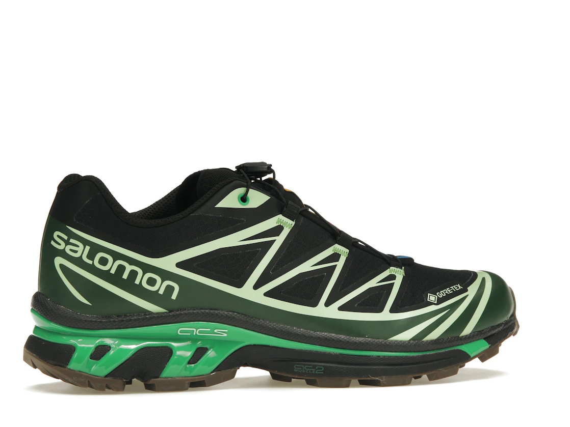 Vue 35 de Salomon Advanced XT-6 Gore-Tex Eden Green Ash