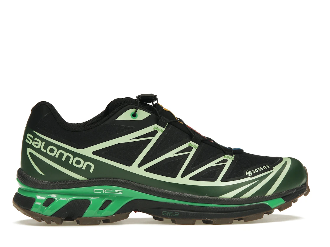 Vue 36 de Salomon Advanced XT-6 Gore-Tex Eden Green Ash