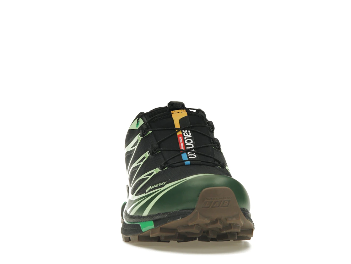 Vue 9 de Salomon Advanced XT-6 Gore-Tex Eden Green Ash