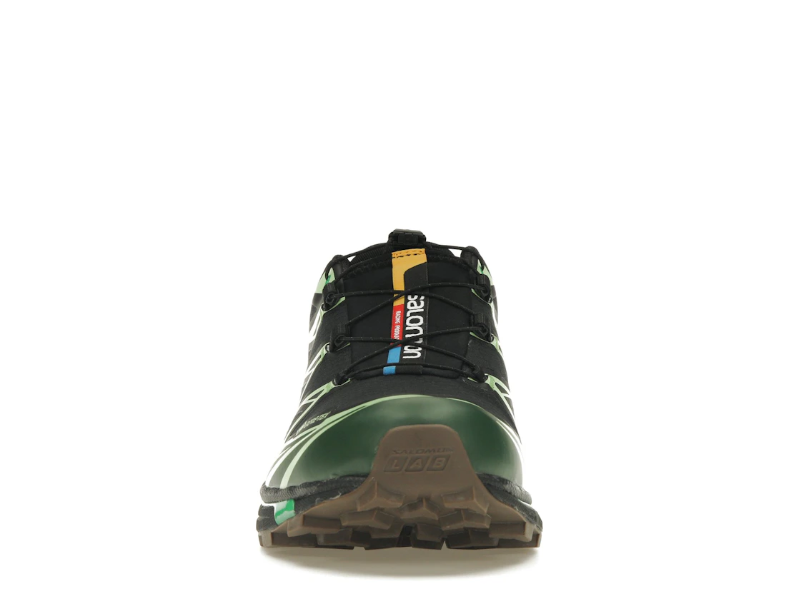 Vue 10 de Salomon Advanced XT-6 Gore-Tex Eden Green Ash
