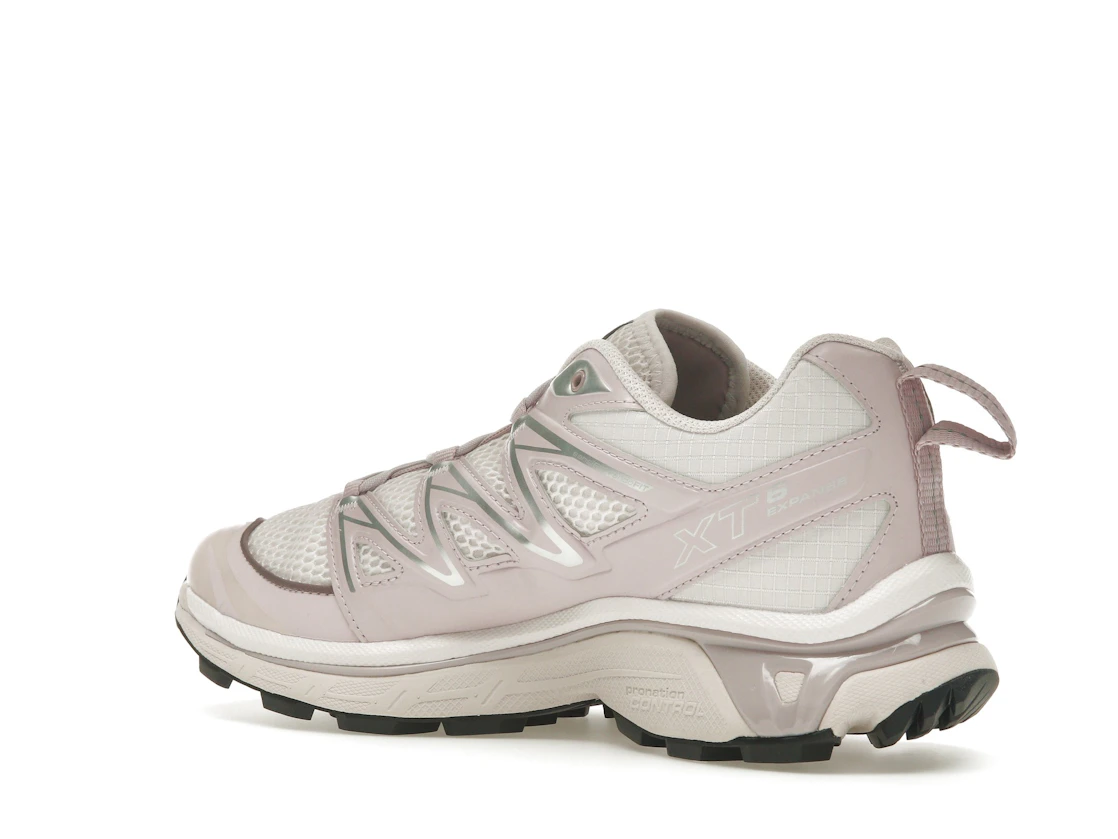 Vue 23 de Salomon XT-6 Expanse Lilac Ash