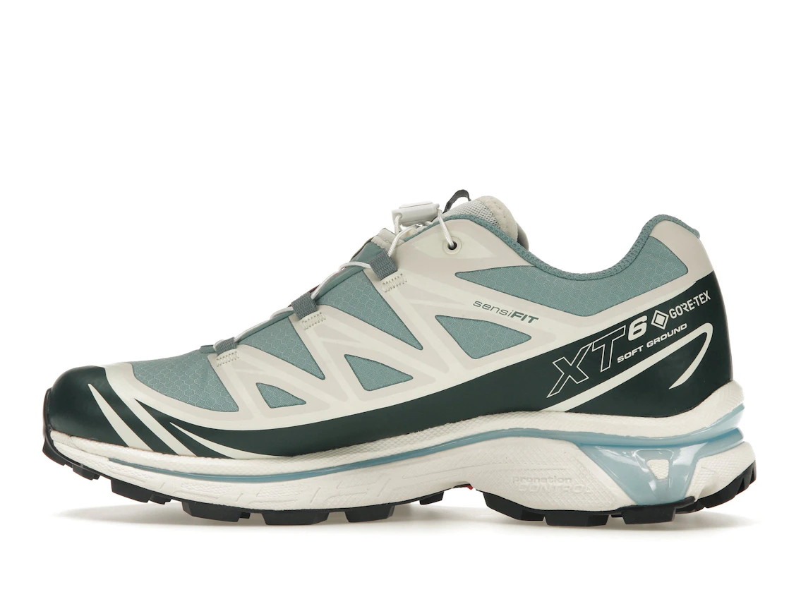 Vue 20 de Salomon XT-6 Gore-Tex Kith Ponderosa Pine
