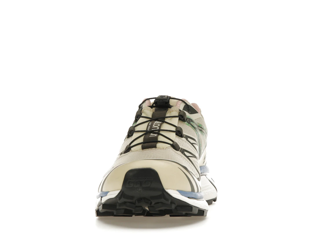 Vue 11 de Salomon XT-6 Moth Vanilla