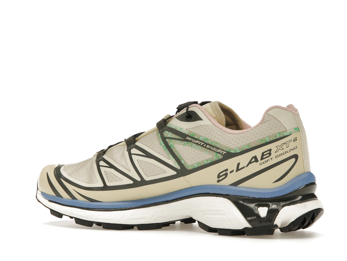 Vue 22 de Salomon XT-6 Moth Vanilla