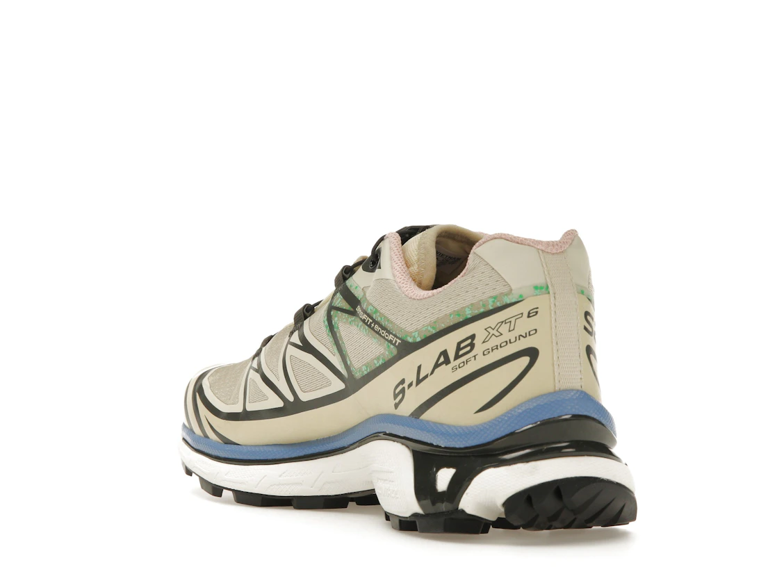 Vue 25 de Salomon XT-6 Moth Vanilla