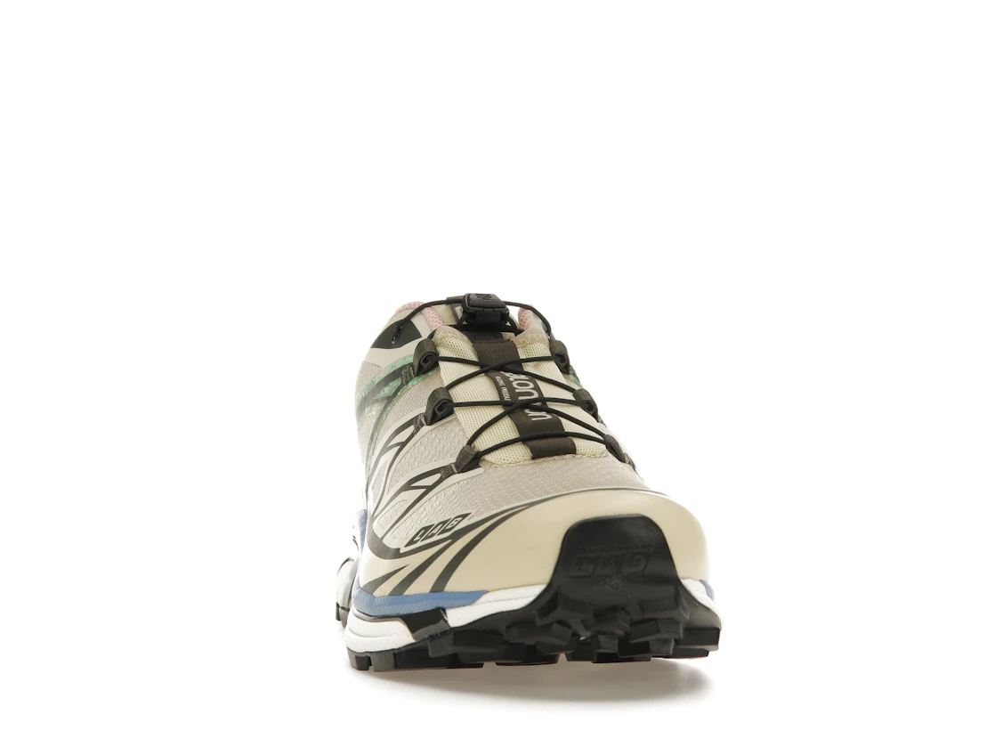Vue 9 de Salomon XT-6 Moth Vanilla