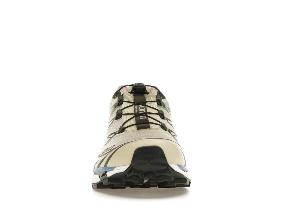 Vue 10 de Salomon XT-6 Moth Vanilla