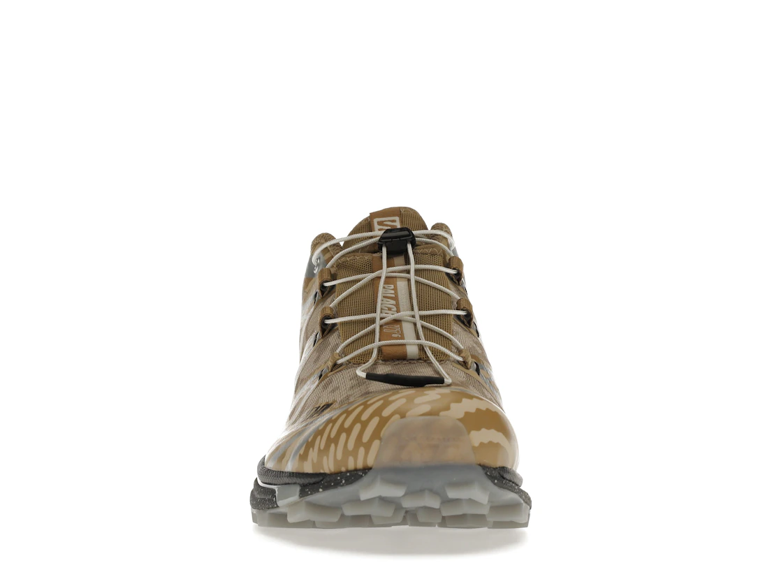 Vue 10 de Salomon XT-6 Palace Kelp Quarry