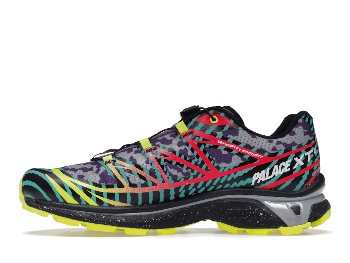 Vue 19 de Salomon XT-6 Palace Lilac Grey