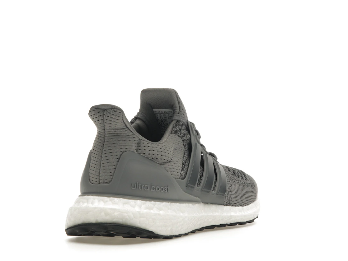 Vue 31 de adidas Ultra Boost 1.0 DNA Grey