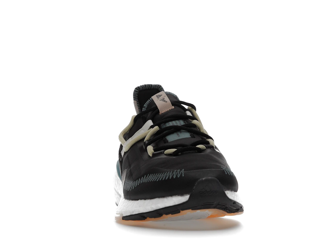 Vue 9 de adidas Ultra Boost 21 Parley Carbon